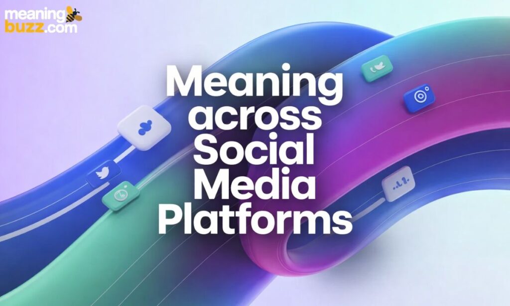 Meaning Across Social Media Platforms