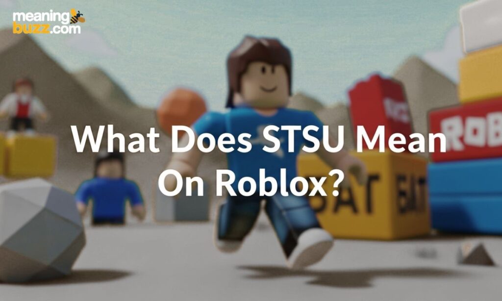 What Does STSU Means On Roblox
