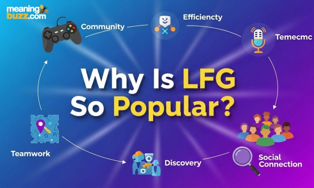 Why Is LFG So Popular