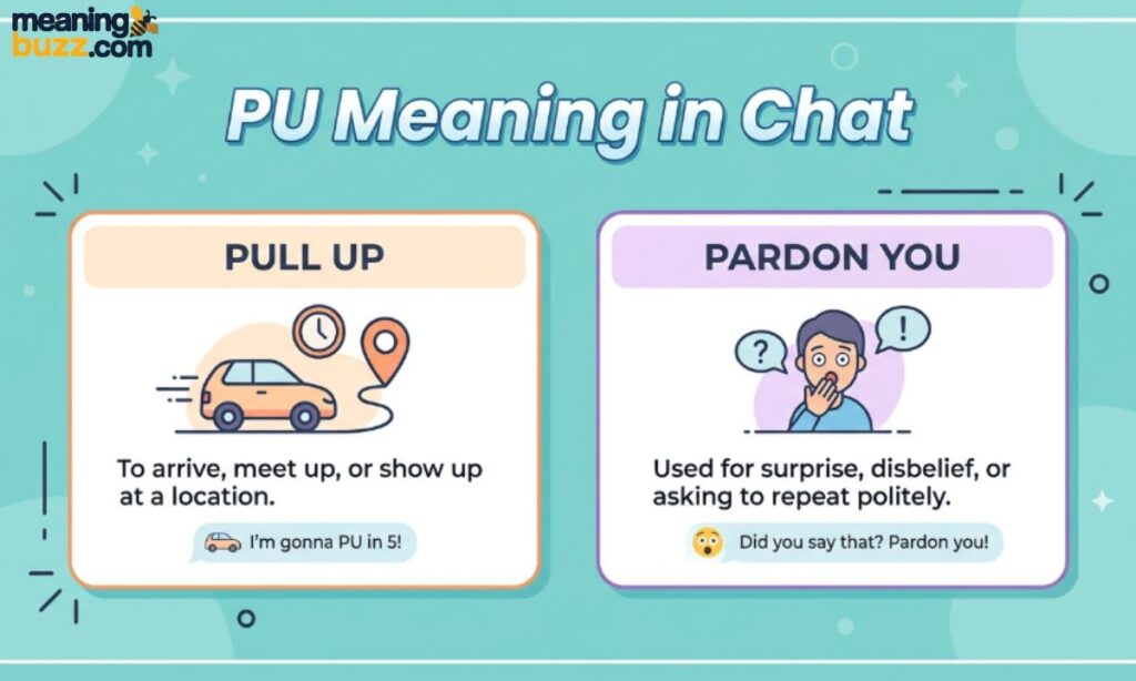 PU Meaning in Chat