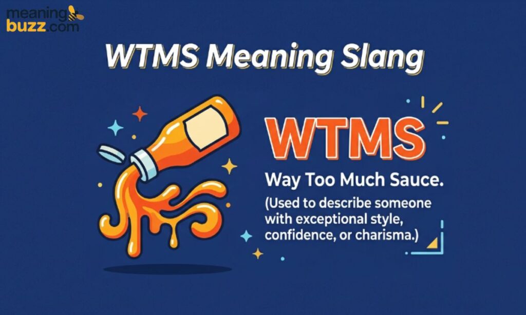 WTMS Meaning Slang