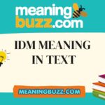 IDM Meaning