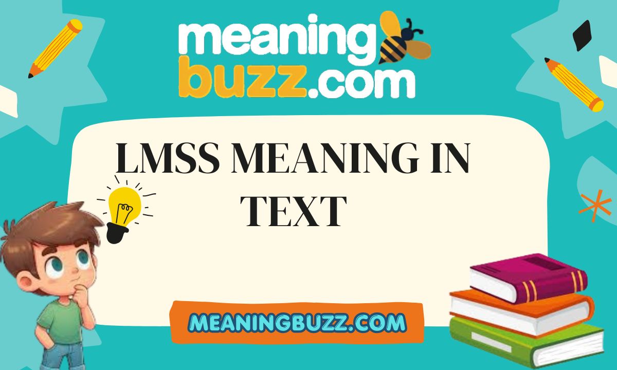 LMSS Meaning In Text