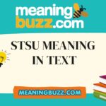 STSU Meaning In Text