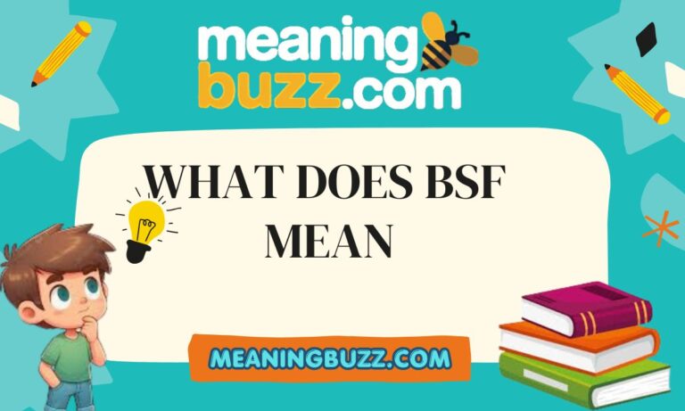 What Does BSF Mean