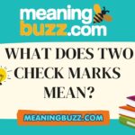 What Does Two Check Mark Mean