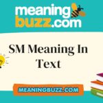 SM Meaning In Text