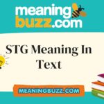 STG Meaning In Text