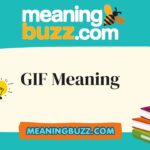 GIF Meaning
