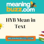HYB Mean in Text