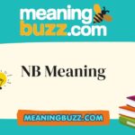 NB Meaning