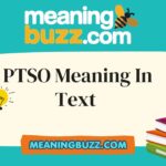 PTSO Meaning In Text