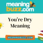 You're Dry Meaning