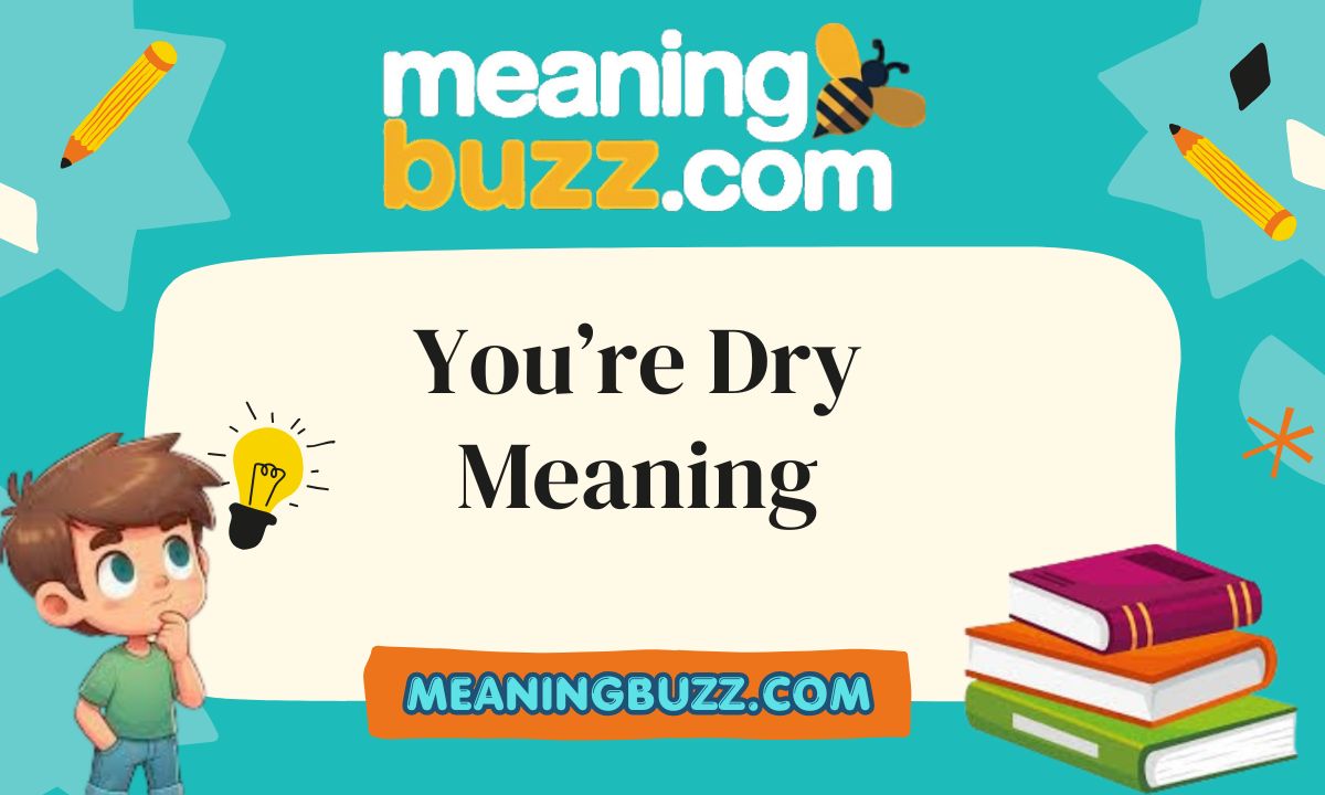 You're Dry Meaning